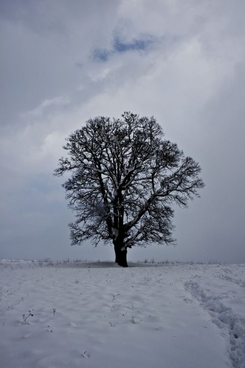 cloud snow winter