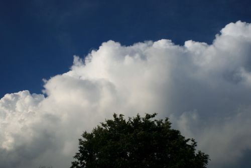 cloud cumulus large