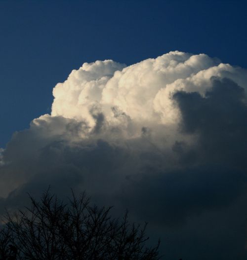 cloud large cumulus