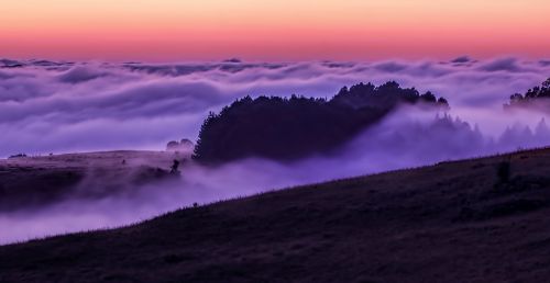 cloud mist dawn