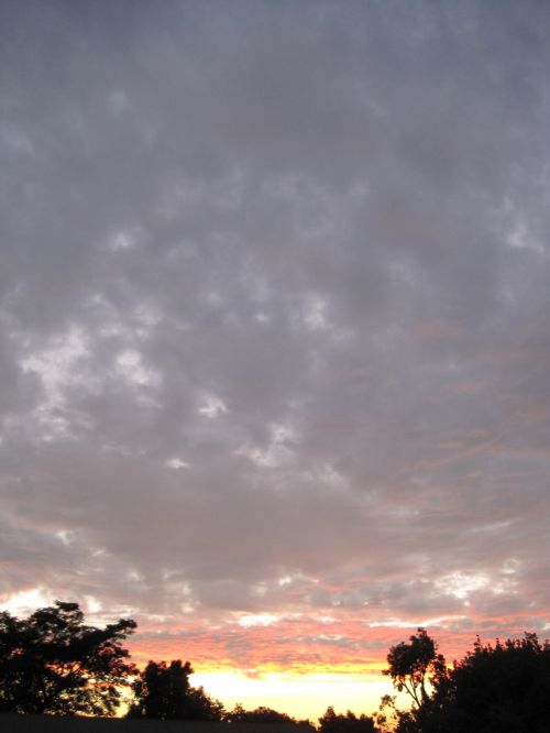 Cloud At Dawn