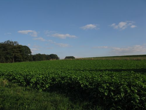 clouds green landscape