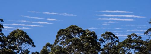 clouds white blue