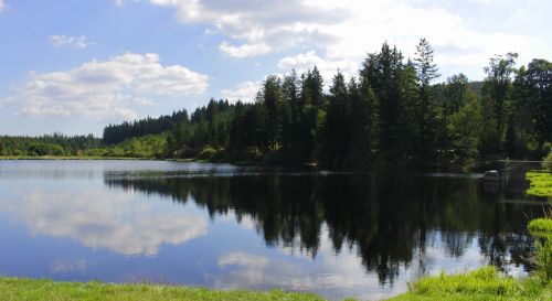 clouds lake trees