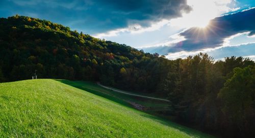 clouds forest grass