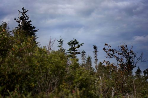 clouds hiking nature