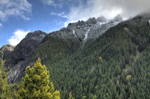 clouds forest landscape