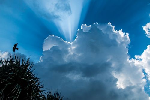 clouds outdoors silhouette