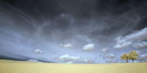 clouds field grass