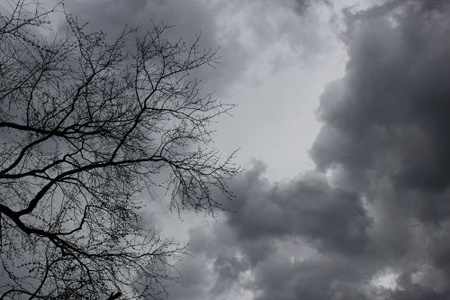 clouds tree dark