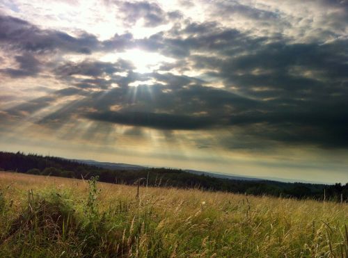 clouds field summer