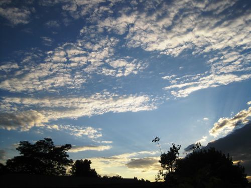 clouds feather white