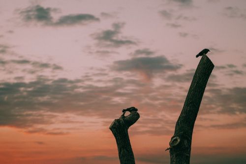 clouds sky sunset