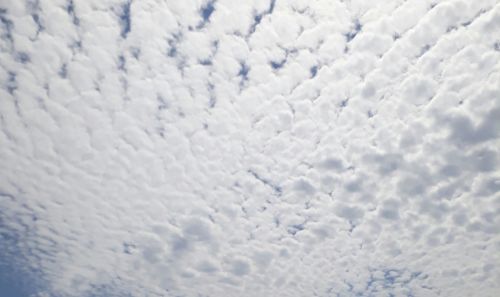 clouds cotton sky