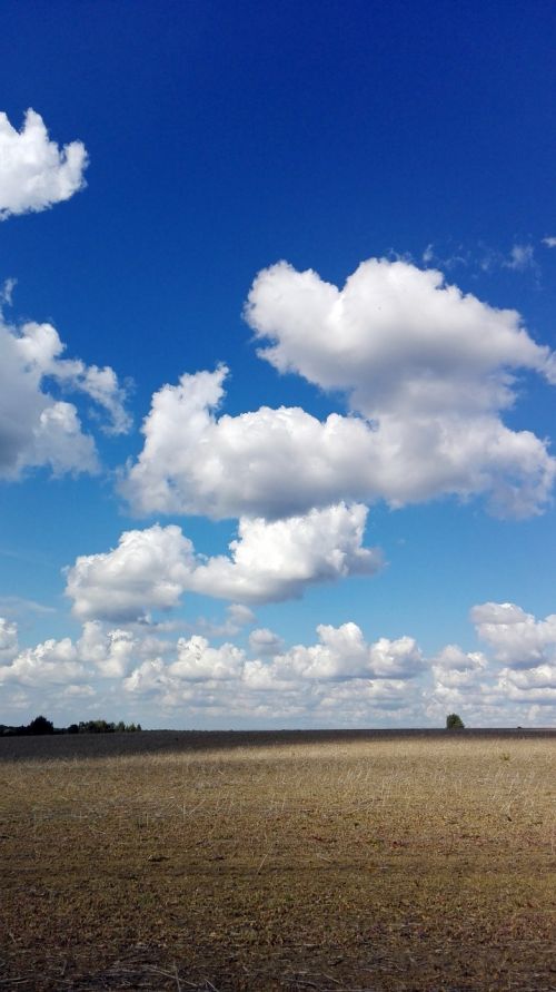 clouds sky field