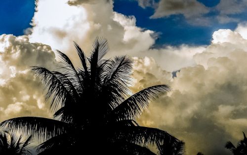 clouds sky tree