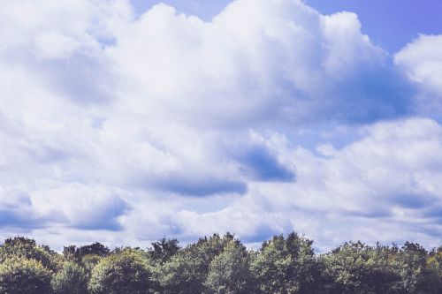 clouds sky forest