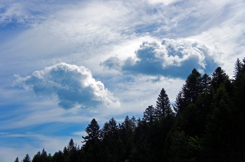 clouds  forest  landscape