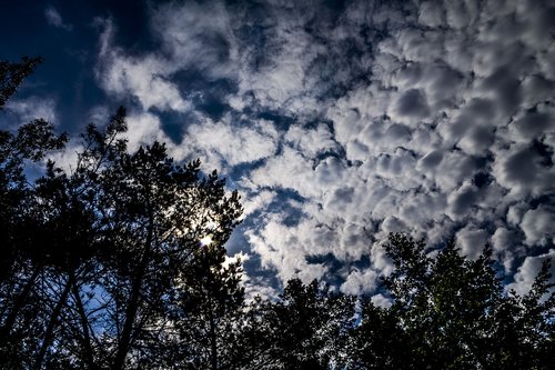 clouds  sky  nature