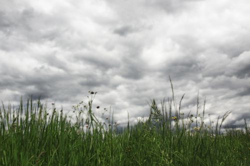 clouds sky grass