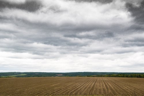 clouds  field  landscape