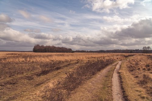 clouds  landscape  field