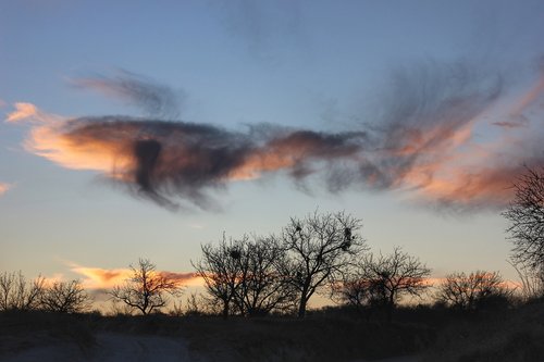 clouds  colors  trees