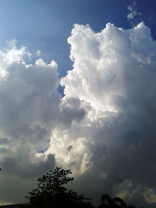 Clouds 42