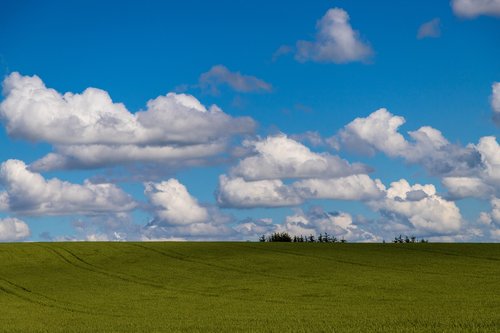 clouds  landscape  field