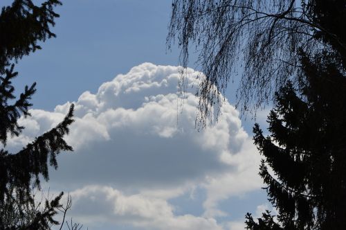 clouds blue sky trees