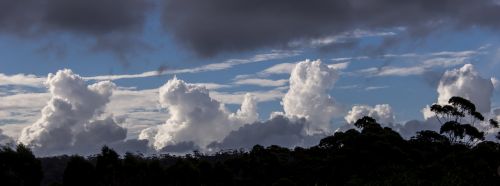 clouds white grey