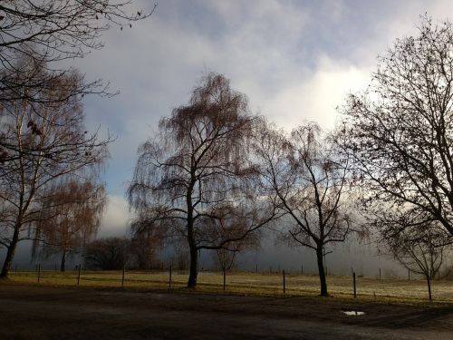 clouds autumn trees