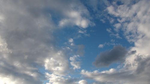 Clouds With Bird