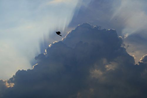 cloudscape dark clouds edge of light