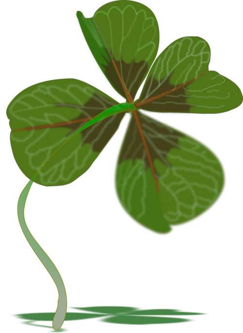 clover plant luck