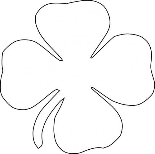 clover four-leaf clover luck