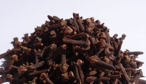 cloves spices syzygium aromaticum