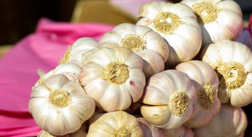 cloves of garlic market vegetable