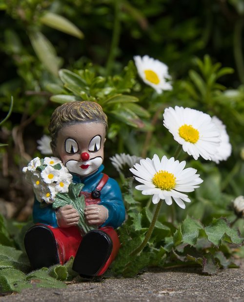 clown  daisy  figure