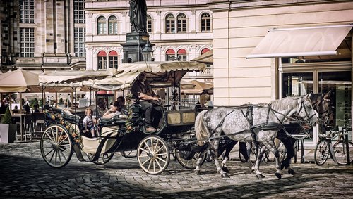 coach  horse drawn carriage  horses