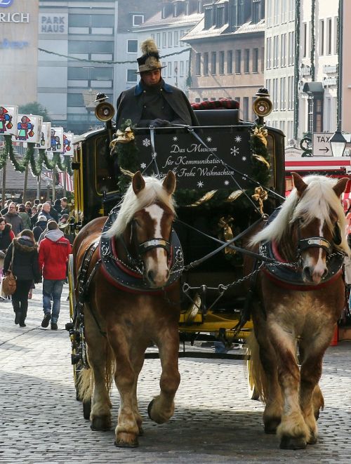 coach horses nuremberg