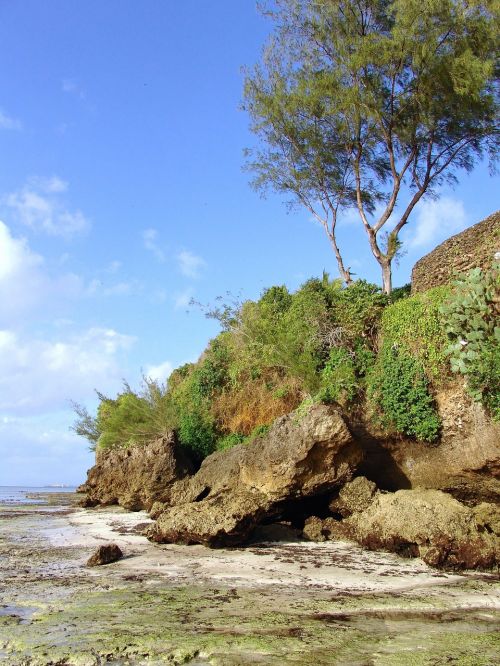 coast beach sea