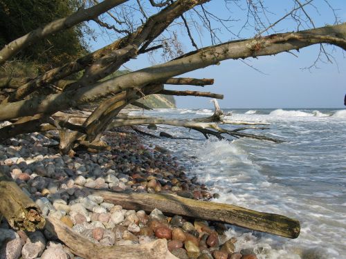 coast island rügen