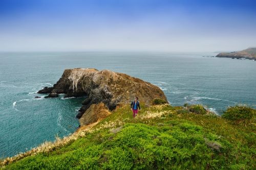 coast ocean green