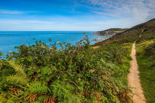 coast walkway ocean