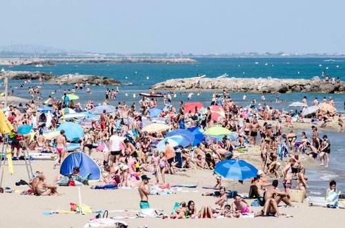 coast  beach  sea