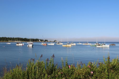 coast  boats  boat