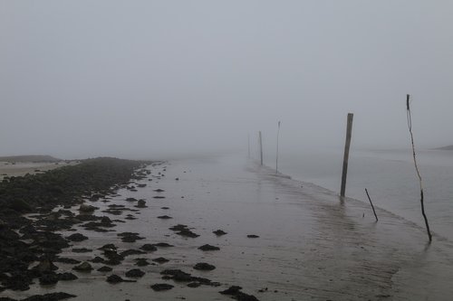 coast  north sea  fog