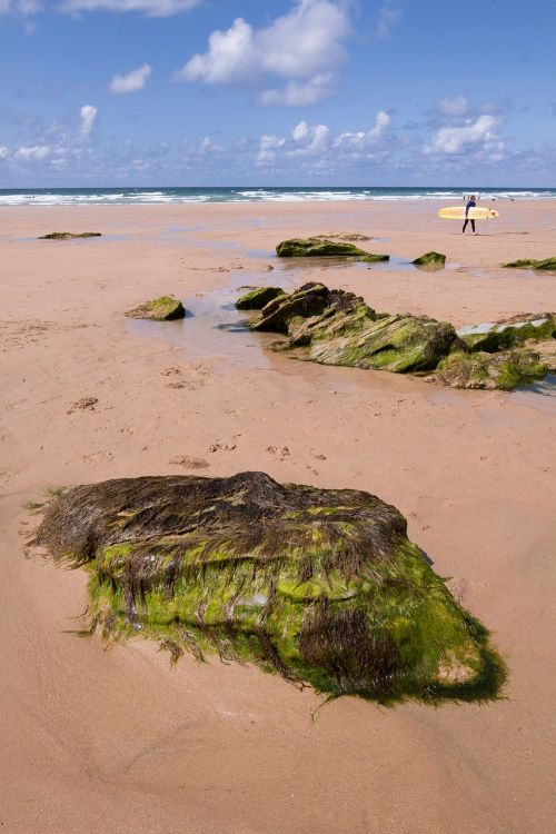 coast beach stones