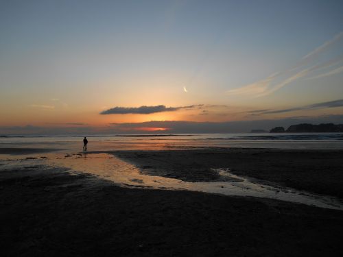 coast at dusk landscape